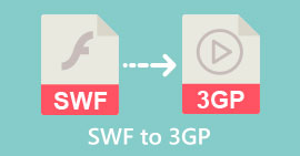 swf 轉 3gp-s