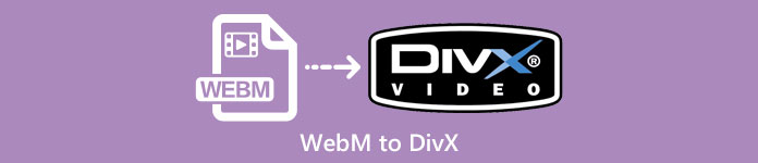 WEBM'den DIVx'e dönüştürücü