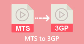 Convert MTS to 3GP