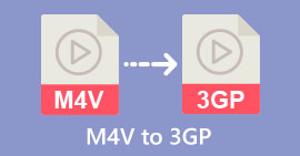 M4V เป็น 3GP