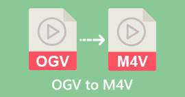 OGV から M4V へ