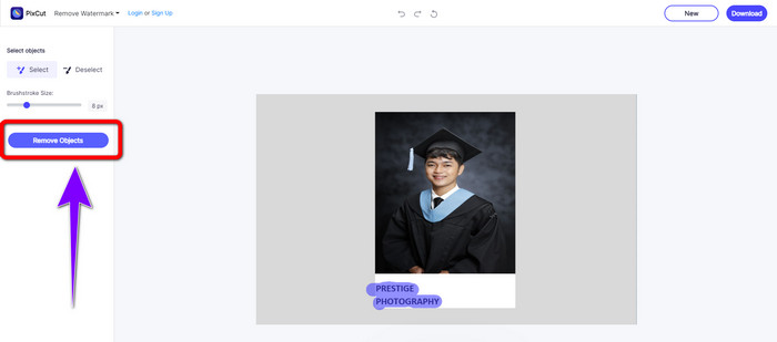Remove Object Button