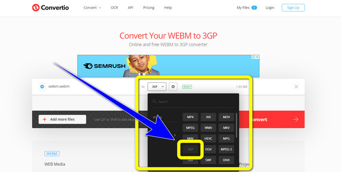 3GP Dosya Formatını Seçin