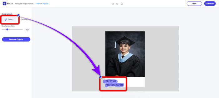 Select Option Highlight