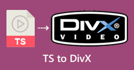 TS 转 DivX