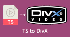 แปลงไฟล์เป็น DivX