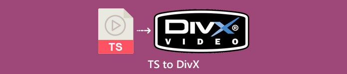 TS to DivX