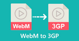 WebM 轉 3GP