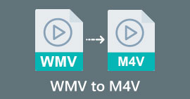 WMV เป็น M4V วินาที