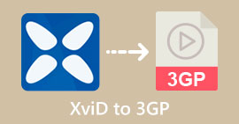xVID เป็น 3GP วินาที