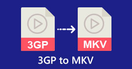 3GP в MKV с