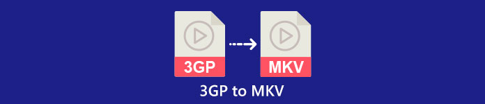 3GP'den MKV'ye dönüştürücü