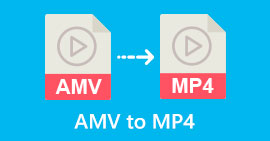 AMV naar MP4-bestanden