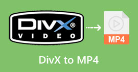 DIVX u MP4 s