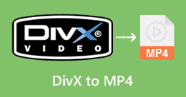 DIVX la MP4 s