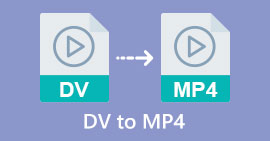 DV naar MP4-bestanden