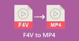 F4V para MP4s