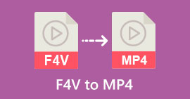 F4V から MP4 へ