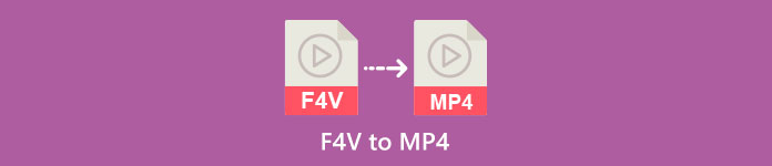 F4V en MP4
