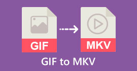 GIF σε MKV s