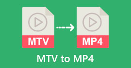 MTV 转 MP4