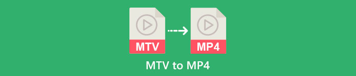 MTV zu MP4