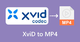 XVID ל-MP4 s