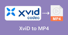 XVID から MP4 へ