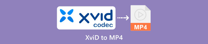 XVID menjadi MP4