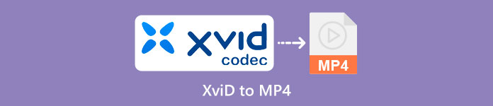 XVID から MP4 へ