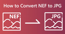 Converter NEF para JPG s
