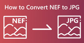 Convertir NEF en JPG