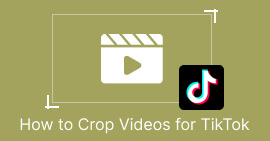 TikTok のビデオのサイズを変更する