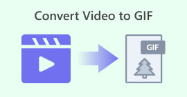 Convertir la vidéo en GIF