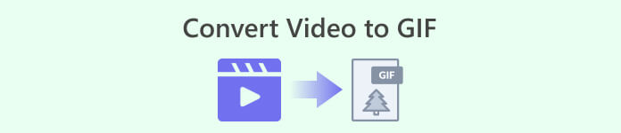 Conversia videoclipului în GIF