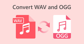 Convert WAV and OGG