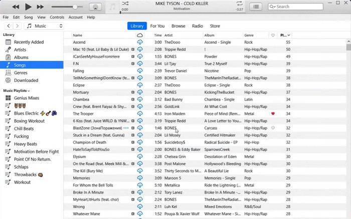 การแปลง iTunes