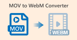 MOV to WebM Converter