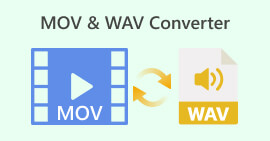 MOV WAV конвертер