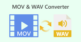 MOV WAV-converter