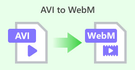 AVI в WebM