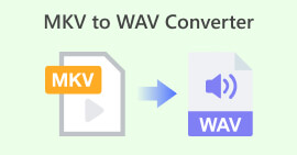 MKV لتحويل WAV
