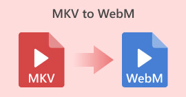 MKV to WebM