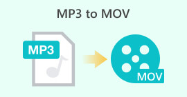 MP3 naar MOV