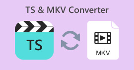 TS MKV konverter