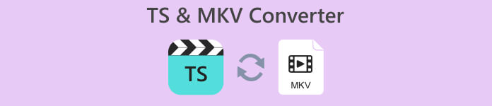 TS MKV Converter