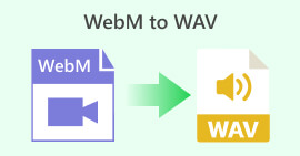 WebM kepada WAV