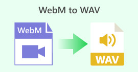 WebM naar WAV