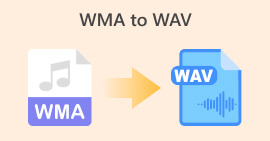 WMA til WAV