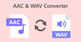 AAC WAV konverter